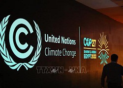 COP27: LHQ công bố khởi động Sáng kiến thị trường carbon châu Phi