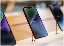 'Ask Apple' dành cho các nhà phát triển sẽ khởi động lại vào 14.11