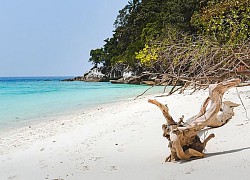 Tioman - hòn đảo thiên đường