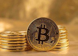 Giá Bitcoin hôm nay 11/11: Bitcoin tiếp tục lao dốc, liệu có sụp đổ?