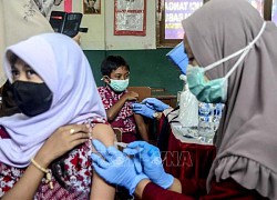 Indonesia cấp phép sử dụng cho vaccine ngừa COVID-19 nội thứ hai