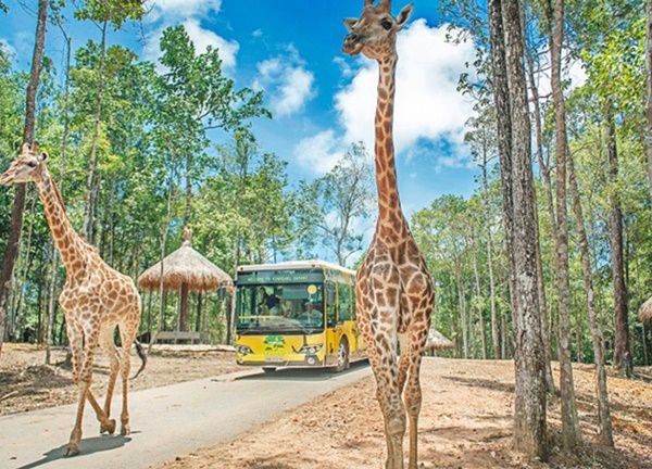 Khám phá VinWonders Nha Trang cho các tín đồ mê sống ảo