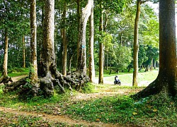 Trà Vinh: Ao Bà Om được công nhận Khu di tích danh lam thắng cảnh quốc gia