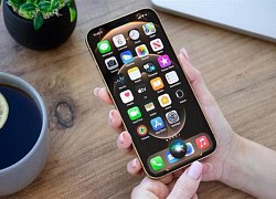 Apple vẫn kiên trì bí mật phát triển công cụ tìm kiếm của riêng mình, Google còn 4 năm để chuẩn bị