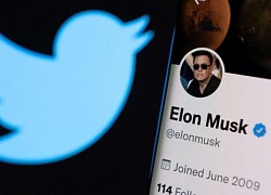 Elon Musk sẽ "búng tay" xóa sổ toàn bộ tích xanh Twitter cũ trước đây