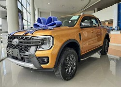 Ford Ranger - "vua bán tải" đứng top ôtô bán chạy nhất Việt Nam