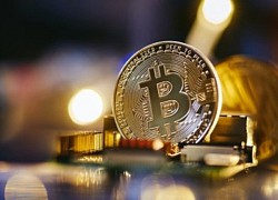 Giá Bitcoin hôm nay 13/11: Bất ngờ giảm giá