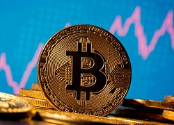 Giá Bitcoin hôm nay 14/11: Lấy lại đà tăng giá