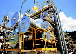 Giá gas hôm nay 13/11: Giá gas giảm và nhiều cảnh báo cho thị trường năng lượng và khí đốt