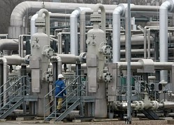 Giá gas hôm nay 14/11: Xanh sàn, có tăng tiếp?