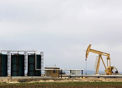 Giá xăng dầu hôm nay 13/11: Tổng kết tuần dầu WTI giảm gần 4%