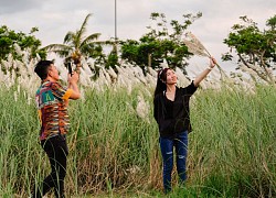 Mùa lau trắng lập đông dưới chân bán đảo Sơn Trà