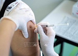 Nhật Bản công bố thông tin về phản ứng phụ của vaccine đặc trị dòng phụ BA.1