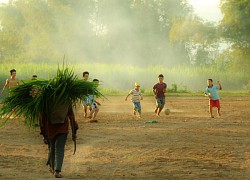 Phú Yên miền đón nắng đầu tiên trên đất liền Việt Nam