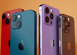 iPhone 14 Plus và iPhone 14 Pro: Khác biệt có quá lớn?