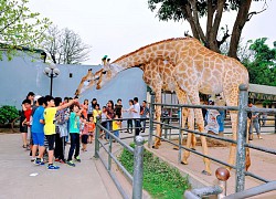 Bỏ túi các địa điểm vui chơi, giải trí cho trẻ em ở Hà Nội trong bán kính 10km