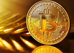 Giá Bitcoin hôm nay 17/11: Bitcoin 'dậm chân tại chỗ', thị trường phân hóa