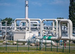 Giá gas hôm nay 16/11: Nhiều tín hiệu tích cực từ thị trường khí đốt