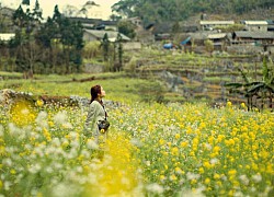 Hà Giang đang vào mùa đẹp nhất, ghé ngay những ngôi làng cổ đẹp và yên bình