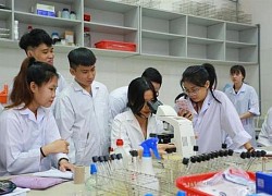 Nhiều trường đại học sử dụng chứng chỉ VSTEP cho xét tuyển sinh và chuẩn đầu ra