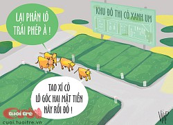 Khu đô thị 'xanh cỏ'