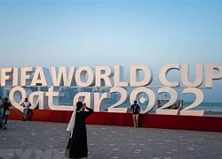 World Cup: Qatar đài thọ toàn bộ chi phí cho nhiều cổ động viên Bỉ