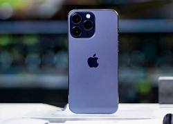 Camera iPhone 14 Pro: Camera 48 MP quá cuốn, chống rung hiệu quả