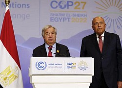 COP27: LHQ và EU đánh giá thỏa thuận cuối cùng chưa đủ tham vọng về cắt giảm khí thải