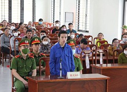 Đánh mẹ ruột, nghịch tử nhận 29 năm tù