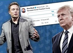 Được tỷ phú Elon Musk khôi phục tài khoản Twitter, ông Trump không hào hứng