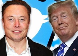 Elon Musk khôi phục tài khoản Twitter của ông Trump