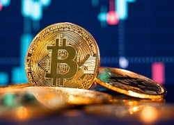 Giá Bitcoin hôm nay 20/11: Chìm trong sắc đỏ