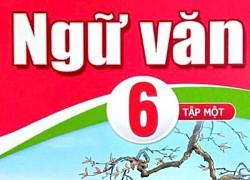 GV nói văn bản 'Đồng Tháp Mười mùa nước nổi Ngữ văn 6', bộ Cánh Diều rời rạc