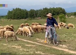 Những bối cảnh thiên nhiên yên bình, đẹp như mơ trong "Mẹ rơm"