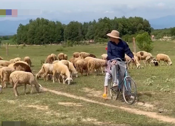 Những bối cảnh thiên nhiên yên bình, đẹp như mơ trong "Mẹ rơm"