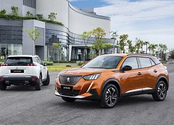 Sau Kia, Thaco tiếp tục tăng giá bán xe Peugeot, cao nhất 45 triệu đồng