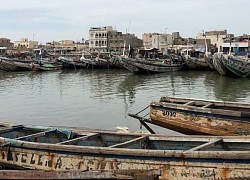 Senegal - vùng đất của những chú sư tử dũng mãnh