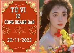 Tử vi 12 cung hoàng đạo ngày 20/11: Song Tử chớ ham lợi nhỏ, Bảo Bình suôn sẻ