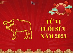 Tử vi tuổi Sửu năm 2023: Cơ hội đi cùng nhiều thách thức