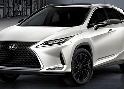 Xe sang Lexus RX có tỷ lệ bị mất cắp nhiều nhất tại Canada