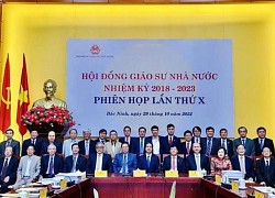 383 Giáo sư, Phó Giáo sư được chính thức công nhận đạt chuẩn năm 2022