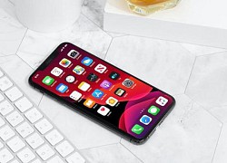 5 mẫu iPhone cũ được mua nhiều tại Việt Nam