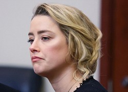 Amber Heard là người nổi tiếng được tìm kiếm nhiều nhất trên Google Mỹ 2022