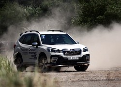 Bảng giá xe Subaru tháng 11: Subaru Forester 2022 giảm gần 259 triệu đồng