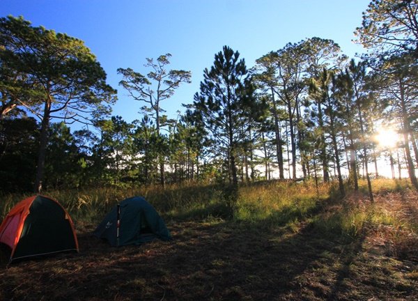 Kinh nghiệm trekking đỉnh Bidoup