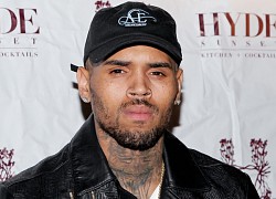 Chris Brown tiếp tục được bênh