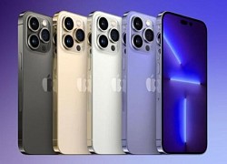 Cơ hội mua iPhone 14 Series giá 'siêu hời' tại Thế giới di động