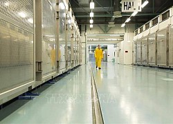 Đáp trả nghị quyết của IAEA, Iran bắt đầu làm giàu urani tại cơ sở hạt nhân ngầm Fordow