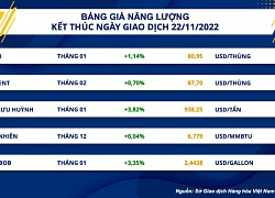 Dầu thô kết thúc chuỗi giảm 4 phiên liên tiếp trước thách thức từ nguồn cung