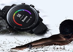 Đồng hồ Garmin Vivoactive